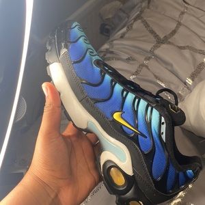 Nike vapor max plus